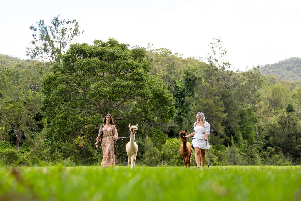 Lifestyle tourism photography captured at Mountain View Alpaca Farm