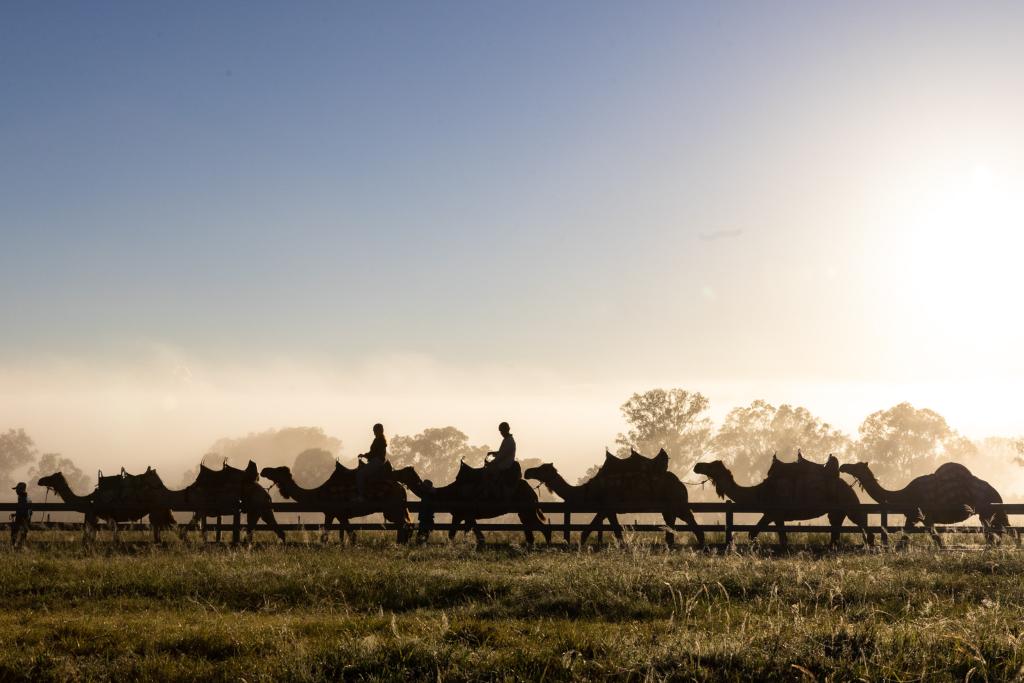 Lifestyle tourism photography showcasing Summer Land Camels experiences